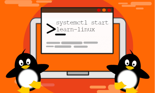 Domine o Linux: Curso para iniciantes com foco em aplicações práticas!