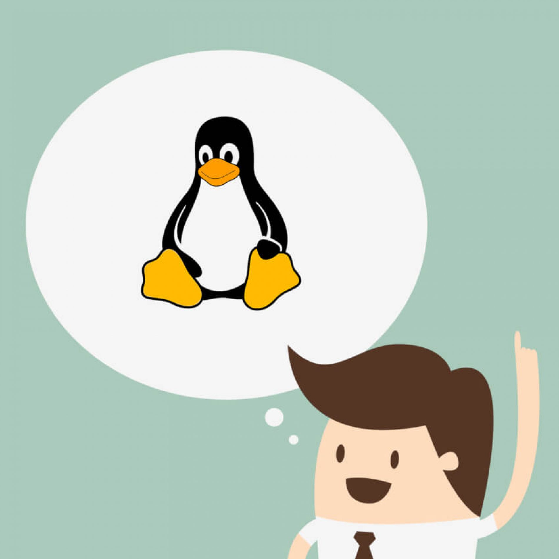 Por que usar o Linux como Sistema Operacional?
