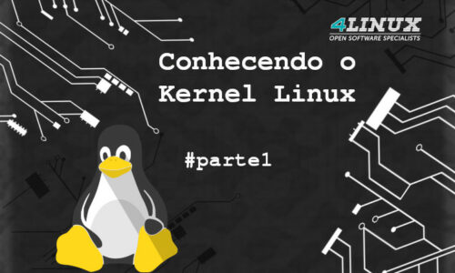 Entenda o funcionamento do pseudo filesystem /proc no Linux