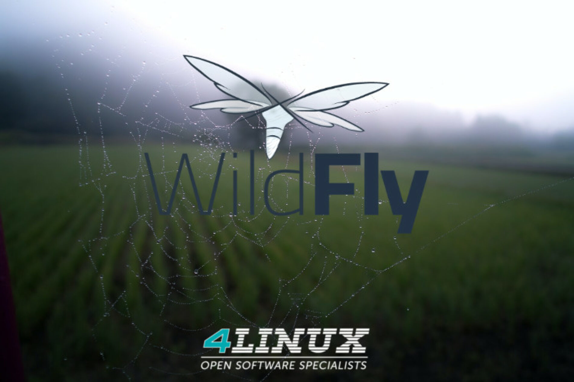 Entendendo os modos de execução do Wildfly para aplicativos Java