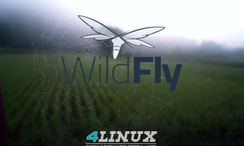 Entendendo os modos de execução do Wildfly para aplicativos Java