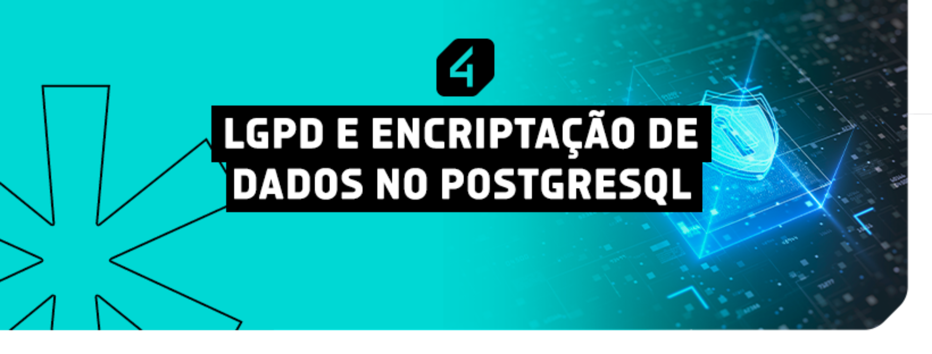 Entenda A Lgpd E Como Ela Impacta A Segurança Dos Seus Dados Blog 4linux