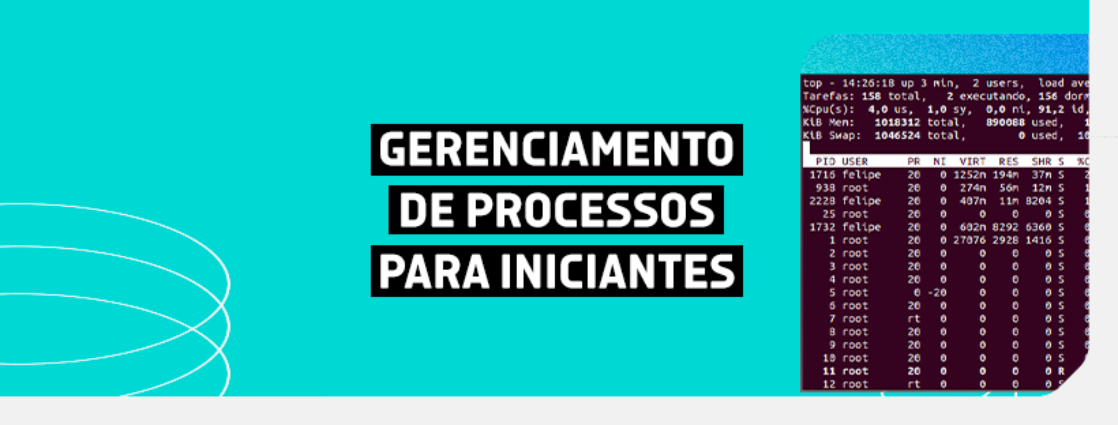 Gerenciamento de Processos no Linux Guia Básico para Iniciantes Blog Linux