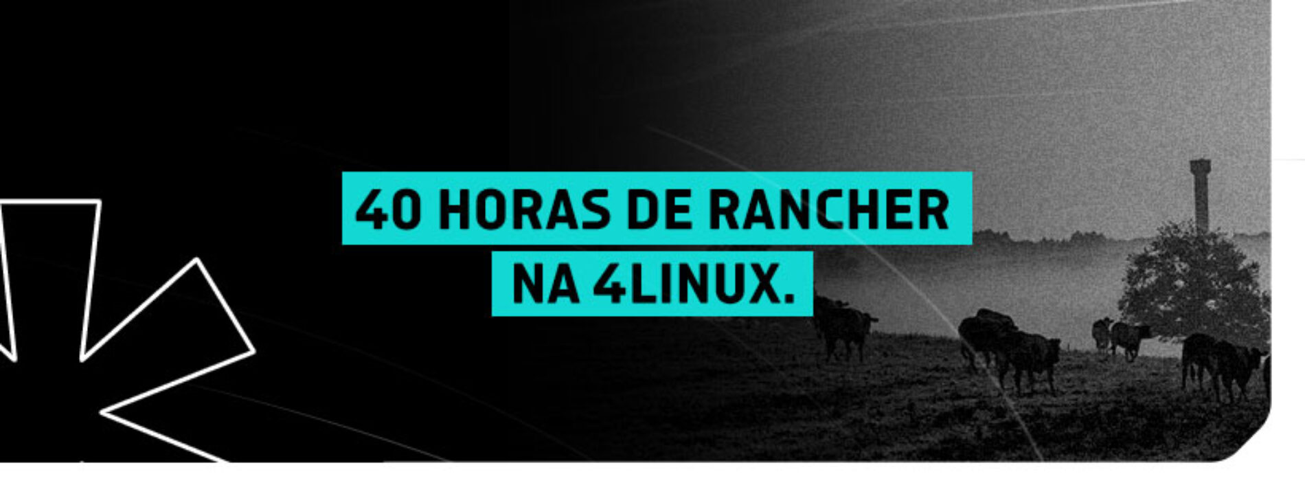 Curso de Rancher da 4Linux: Atualizado e Ampliado para 40 horas de aula