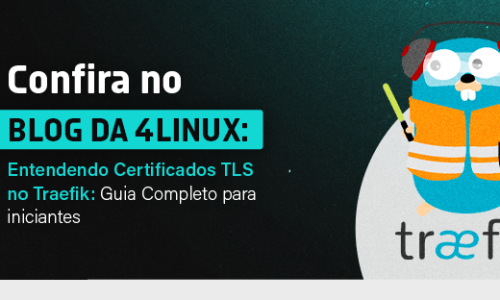 Entendendo Certificados TLS no Traefik: Guia Completo para Iniciantes