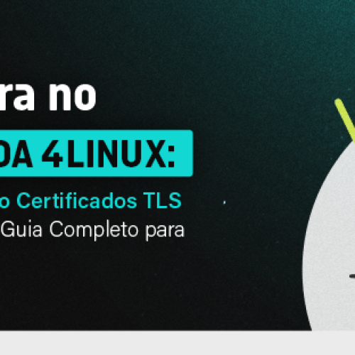 Entendendo Certificados TLS no Traefik: Guia Completo para Iniciantes