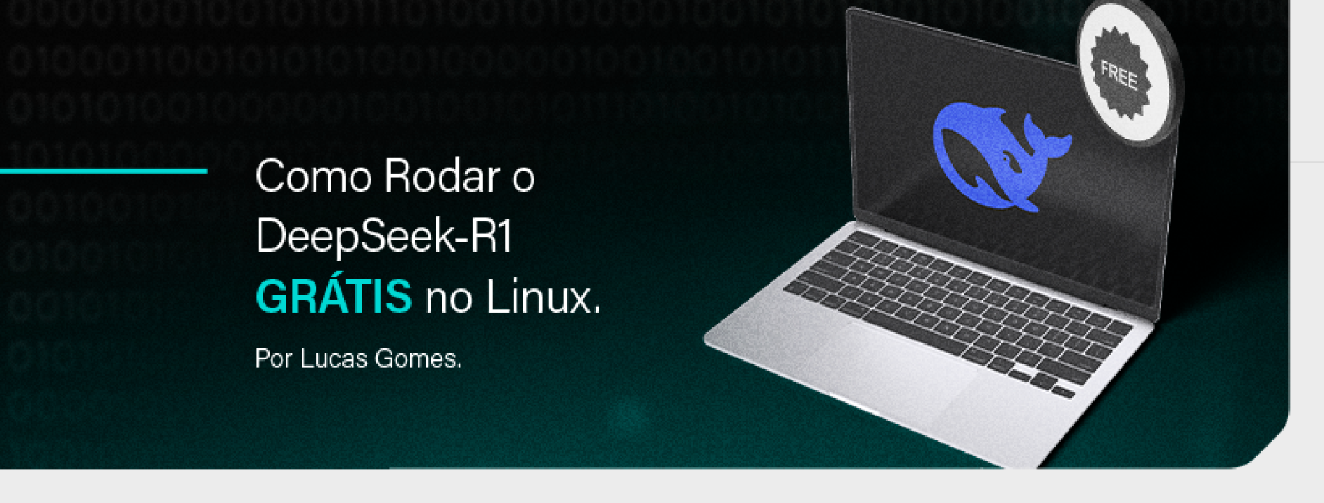 Como Rodar o DeepSeek-R1 GRÁTIS no Linux