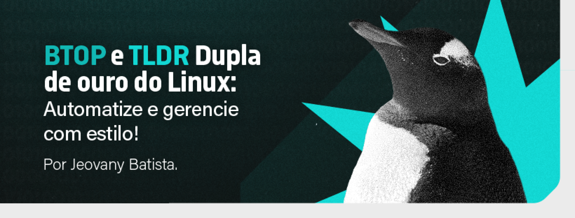 BTOP e TLDR Dupla de ouro do Linux: Automatize e gerencie com estilo